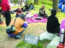 游客止步在线观看56,跟随游客止步，揭秘56神秘世界  第2张